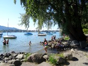 380  Lake Zurich.JPG